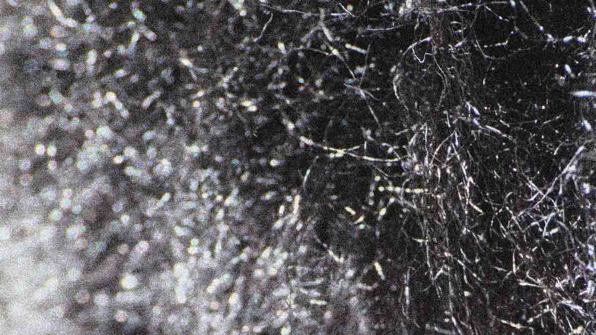 Mesmositio Contagiar